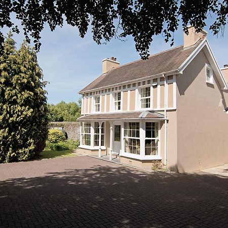Copper Beech Cottage Henfynyw Upper Экстерьер фото